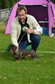 BIS Valp 3 4-6 Mellerud -26 DSC_1289.JPG