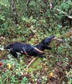 Spår KM -25  IMG_8279 (002).jpg